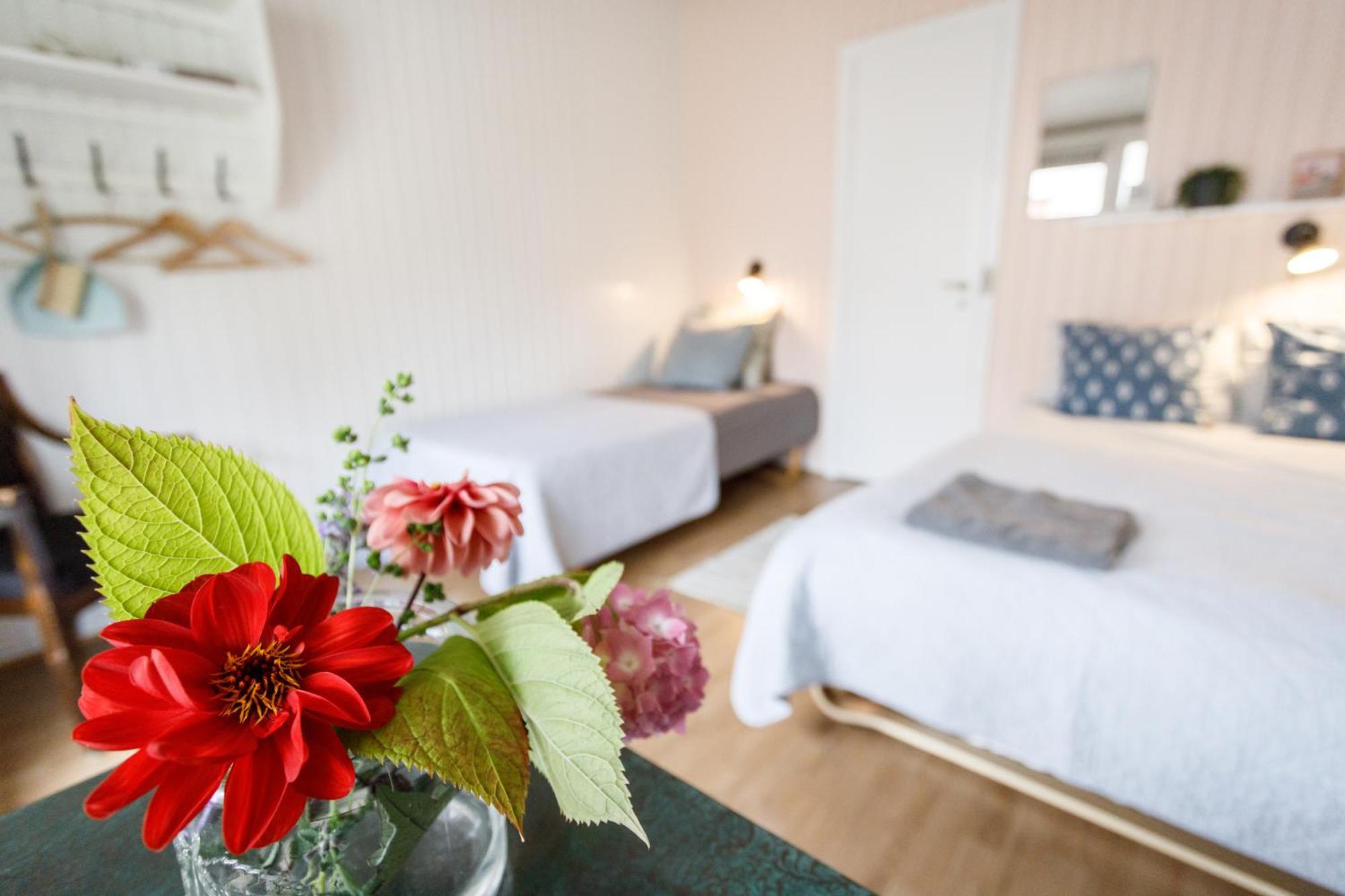 Danhostel Stevns Klint Store Heddinge Экстерьер фото